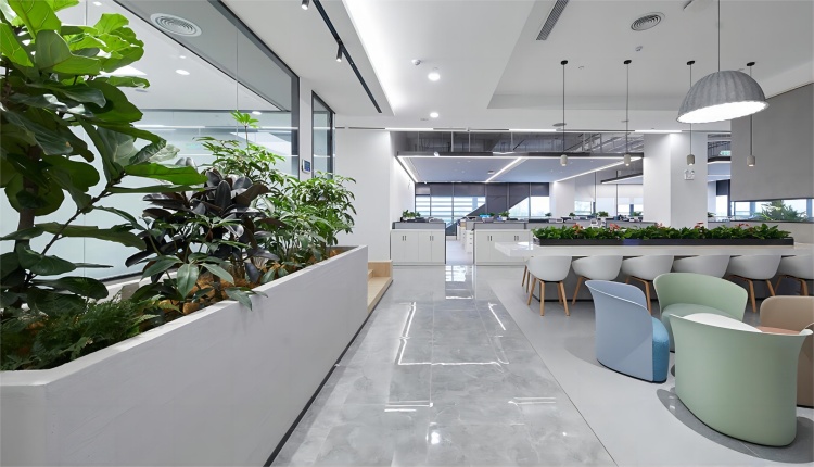辦公室裝修密碼，打造舒適辦公“綠洲”